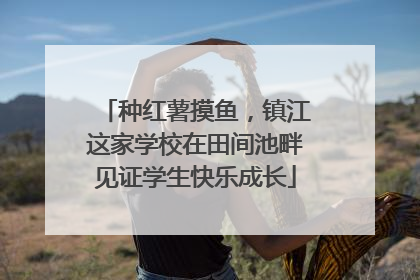 种红薯摸鱼，镇江这家学校在田间池畔见证学生快乐成长