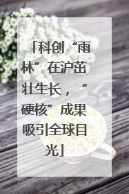 科创“雨林”在沪茁壮生长，“硬核”成果吸引全球目光