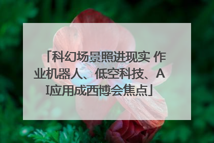 科幻场景照进现实 作业机器人、低空科技、AI应用成西博会焦点