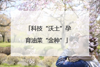 科技“沃土”孕育油菜“金种”