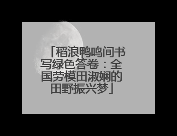 稻浪鸭鸣间书写绿色答卷：全国劳模田淑娴的田野振兴梦