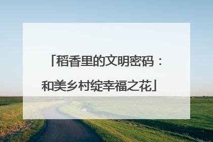 稻香里的文明密码：和美乡村绽幸福之花