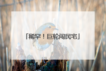 稀罕！巨轮闯民宅