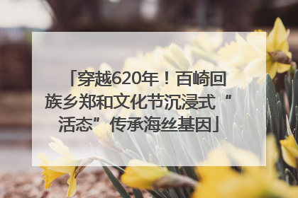 穿越620年！百崎回族乡郑和文化节沉浸式“活态”传承海丝基因