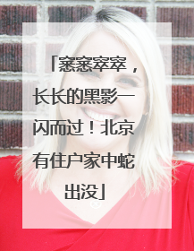 窸窸窣窣，长长的黑影一闪而过！北京有住户家中蛇出没