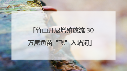 竹山开展增殖放流 30万尾鱼苗“飞”入堵河