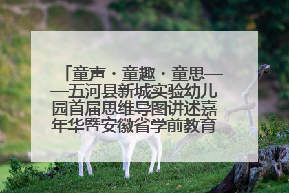 童声・童趣・童思——五河县新城实验幼儿园首届思维导图讲述嘉年华暨安徽省学前教育教研基地园项目阶段性成果展示活动
