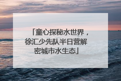 童心探秘水世界，徐汇少先队半日营解密城市水生态