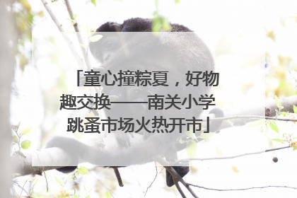 童心撞粽夏，好物趣交换——南关小学跳蚤市场火热开市