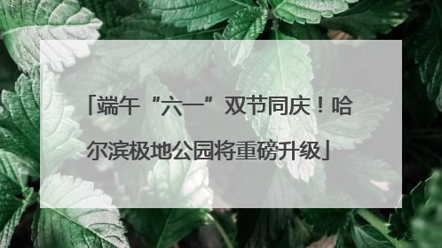 端午“六一”双节同庆！哈尔滨极地公园将重磅升级