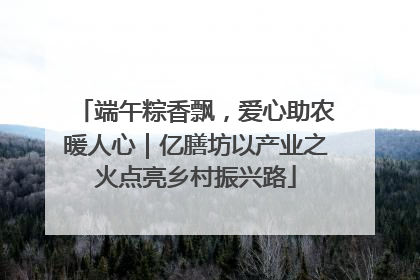 端午粽香飘，爱心助农暖人心｜亿膳坊以产业之火点亮乡村振兴路