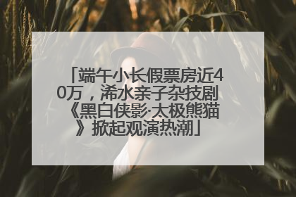 端午小长假票房近40万，浠水亲子杂技剧《黑白侠影·太极熊猫》掀起观演热潮