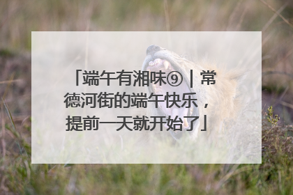 端午有湘味⑨｜常德河街的端午快乐，提前一天就开始了