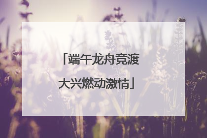 端午龙舟竞渡 大兴燃动激情