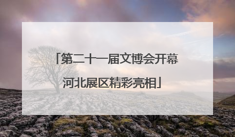 第二十一届文博会开幕 河北展区精彩亮相
