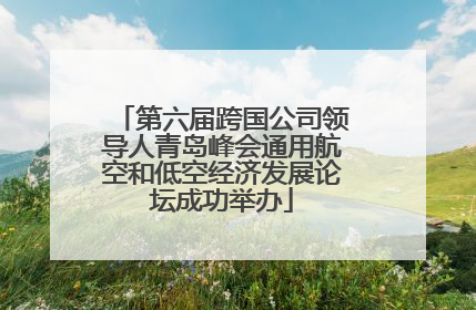第六届跨国公司领导人青岛峰会通用航空和低空经济发展论坛成功举办