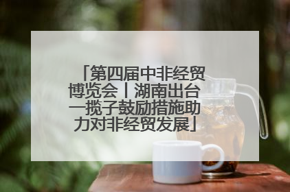第四届中非经贸博览会丨湖南出台一揽子鼓励措施助力对非经贸发展