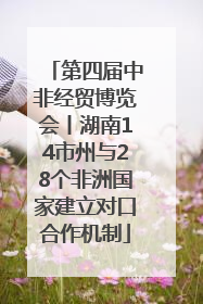 第四届中非经贸博览会丨湖南14市州与28个非洲国家建立对口合作机制