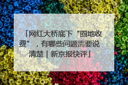 网红大桥底下“圈地收费”，有哪些问题需要说清楚｜新京报快评