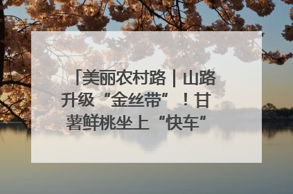 美丽农村路｜山路升级“金丝带”！甘薯鲜桃坐上“快车”，开去大市场
