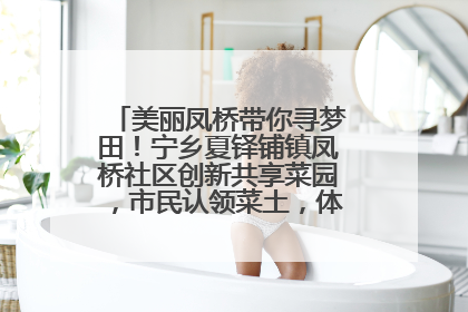 美丽凤桥带你寻梦田！宁乡夏铎铺镇凤桥社区创新共享菜园，市民认领菜土，体验耕种收获乐趣