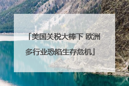 美国关税大棒下 欧洲多行业恐陷生存危机