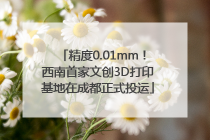 精度0.01mm！西南首家文创3D打印基地在成都正式投运