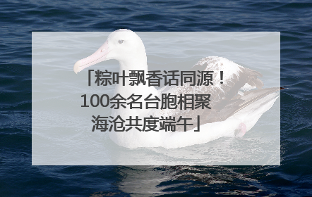 粽叶飘香话同源！100余名台胞相聚海沧共度端午