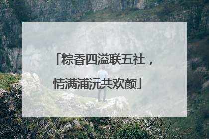 粽香四溢联五社，情满浦沅共欢颜