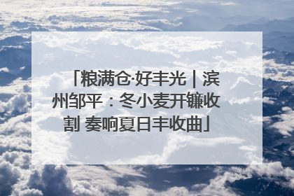 粮满仓·好丰光｜滨州邹平：冬小麦开镰收割 奏响夏日丰收曲