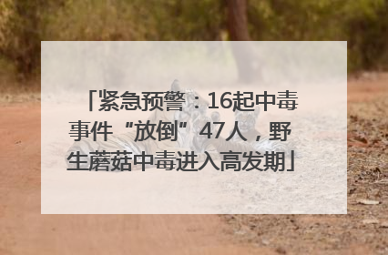 紧急预警：16起中毒事件“放倒”47人，野生蘑菇中毒进入高发期