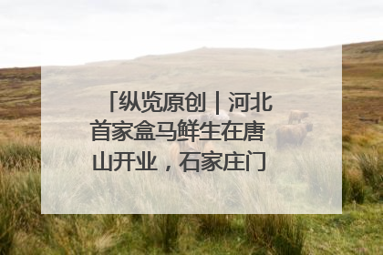 纵览原创｜河北首家盒马鲜生在唐山开业，石家庄门店预计8月开业