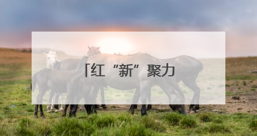 红“新”聚力青春 “梅”好共荣宁波慈城