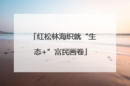 红松林海织就“生态+”富民画卷