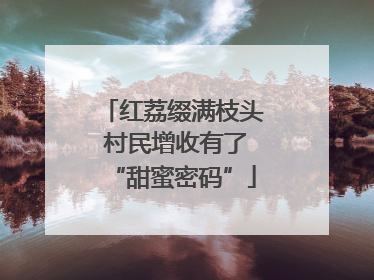 红荔缀满枝头 村民增收有了“甜蜜密码”