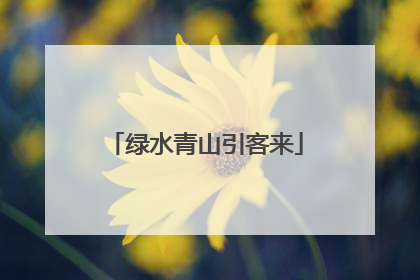 绿水青山引客来