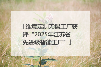 维意定制无锡工厂获评“2025年江苏省先进级智能工厂”