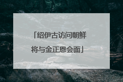 绍伊古访问朝鲜 将与金正恩会面