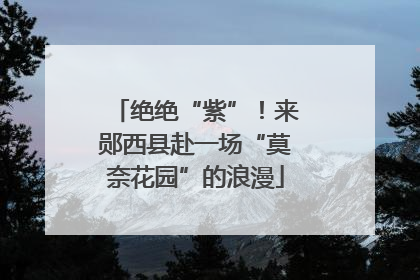 绝绝“紫”！来郧西县赴一场“莫奈花园”的浪漫