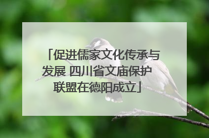 促进儒家文化传承与发展 四川省文庙保护联盟在德阳成立