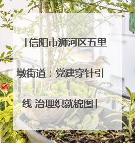 信阳市浉河区五里墩街道：党建穿针引线 治理织就锦图