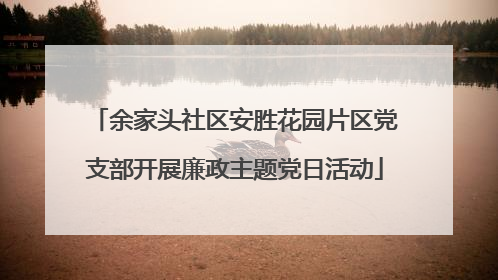 余家头社区安胜花园片区党支部开展廉政主题党日活动