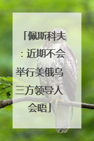 佩斯科夫：近期不会举行美俄乌三方领导人会晤