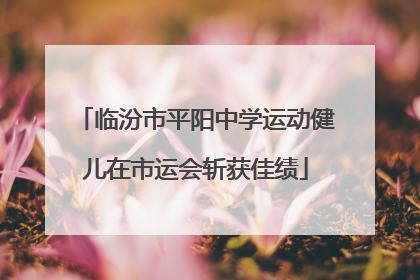 临汾市平阳中学运动健儿在市运会斩获佳绩