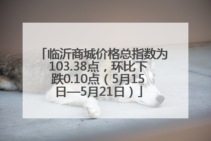 临沂商城价格总指数为103.38点，环比下跌0.10点（5月15日—5月21日）