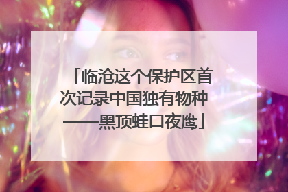 临沧这个保护区首次记录中国独有物种——黑顶蛙口夜鹰