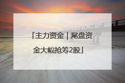 主力资金｜尾盘资金大幅抢筹2股