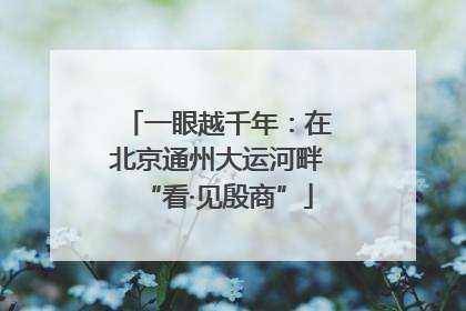 一眼越千年：在北京通州大运河畔“看·见殷商”