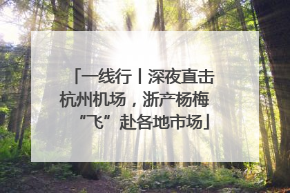 一线行丨深夜直击杭州机场，浙产杨梅“飞”赴各地市场