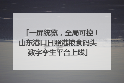 一屏统览，全局可控！山东港口日照港粮食码头数字孪生平台上线
